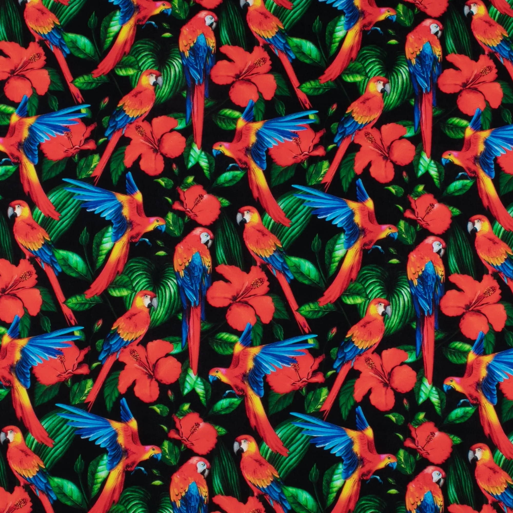 Printed Cotton - TROPICAL PARADISE - 006 - Black