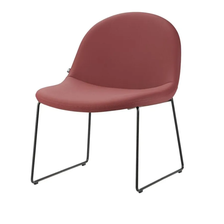 Surf Lounge Sled Base